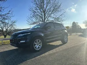 Land Rover Range Rover Evoque Range Rover Evoque TD4 Aut. Pure Bild 3