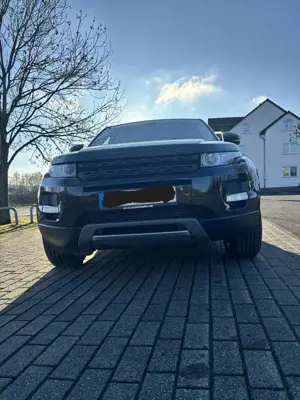 Land Rover Range Rover Evoque Range Rover Evoque TD4 Aut. Pure Bild 5