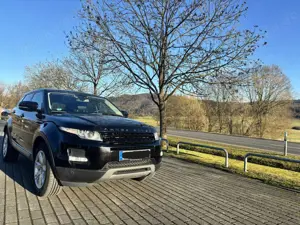 Land Rover Range Rover Evoque Range Rover Evoque TD4 Aut. Pure Bild 2