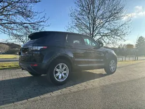 Land Rover Range Rover Evoque Range Rover Evoque TD4 Aut. Pure Bild 4