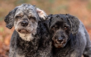 Amy&Terry - Mama&Sohn