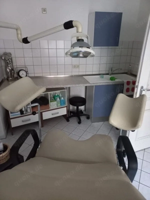 Kollegin, Paar oder Mitmieter in Görlitz gesucht