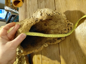 Kork röhre Gabelung für kleintiere Degu Hase Terrarium