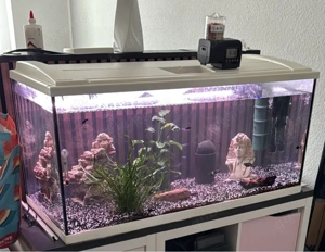Aquarium komplett set 