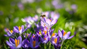 Freizeitaktivitäten in einer kleinen Gruppe