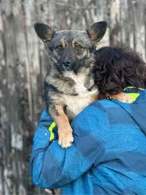 Abby 2023 w sucht nach Glück