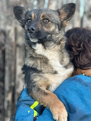 Abby 2023 w sucht nach Glück