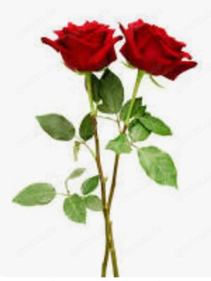 Wie die Mutter so die......... sagt man?! 