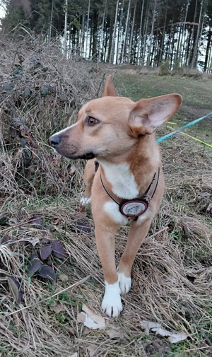 Qiana sucht Ihre Lieblingsmenschen