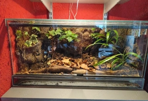 Terrarium 60 x 30 x 30 Doppellüftung, Kaminlüftung Schiebescheiben 