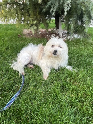 Jax - kleiner Sonnenschein sucht großes Glück