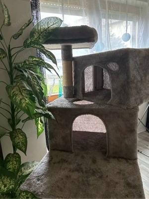 kratzbaum herzugeben