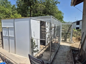 Suche mehrere Vögel 