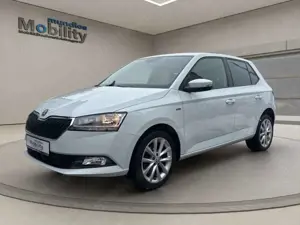 Skoda Fabia Soleil ACC SHZ PDC CarPlay Allwetter