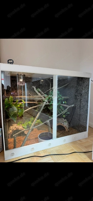 Kunstoff Terrarium 