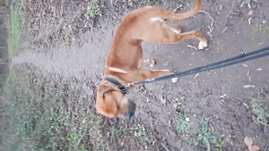 Riesen Baby abzugeben 