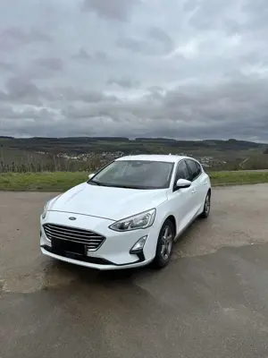 Ford Focus Cool  Connect