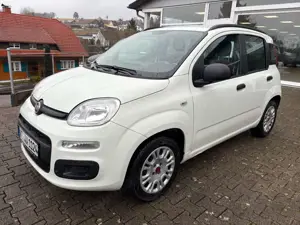 Fiat Panda My Panda