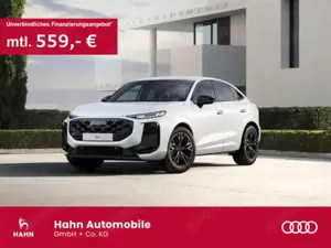 Audi Q3 TFSI S tronic Einparkhilfekamera