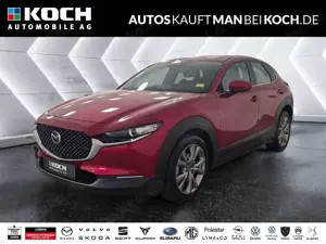 Mazda CX-30 L SKYACTIV-G 2.0 150PS MHybrid 6AG AL-SELE