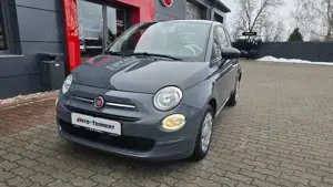Fiat 500 Cult*Sitzh*PDC*Hybrid Bild 3