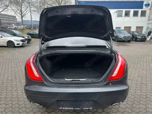 Jaguar XJ 3.0D R-Sport / Pano / LED / 360/ Bild 5