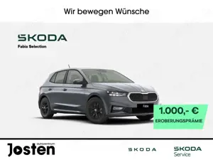 Skoda Fabia Selection 1.0TSI LichtSicht Winter+ SideAssist Pa