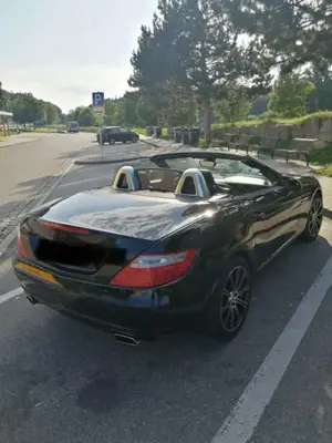 Mercedes-Benz SLK 250 SLK 250 (BlueEFFICIENCY) 7G-TRONIC Bild 3