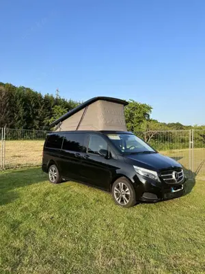 Mercedes-Benz Marco Polo 220/250 d EDITION (447.813)