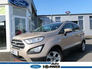 Ford EcoSport CoolConnect, Navi, PDC, Kamera,Winter Paket