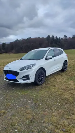 Ford Kuga ST-LINE X