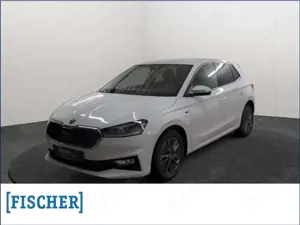 Skoda Fabia 1.0TSI DSG Tour Matrix Navi Rear View ACC Vorber.