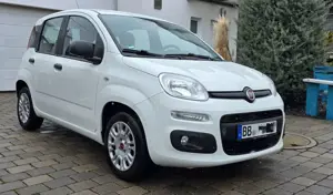 Fiat Panda Panda 1.2 Easy *Klima, AHK* wenig Km