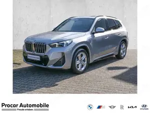 BMW X1 sDrive20i  M-Sport AHK Pano DA+ PA+ HuD adpt.Led