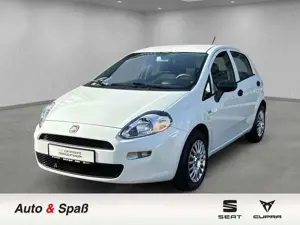 Fiat Punto Basis