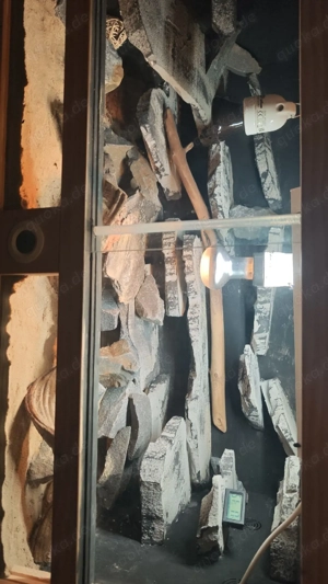 Terrarium Komplettset 