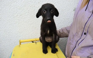 Kimiko wartet auf ihre Familie