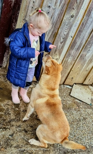 Otto sucht ganz dringend neue Bleibe  Bild 18