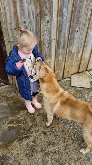 Otto sucht ganz dringend neue Bleibe  Bild 19