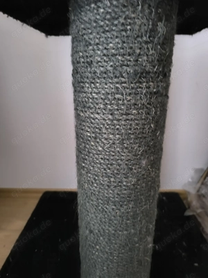 Katzenbaum Dick  Bild 3