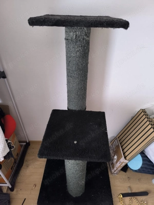 Katzenbaum Dick  Bild 4