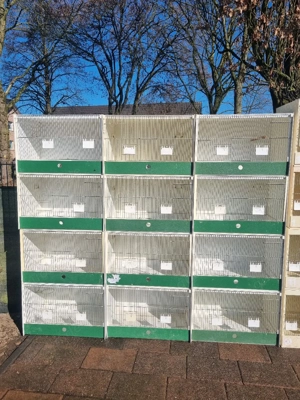 Zuchtboxen Vögel JH