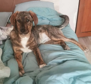 Ich bin noch ein Baby und suche ein herzliches Zuhause.