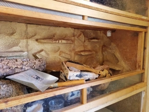 osb holz Terrarien abzugeben