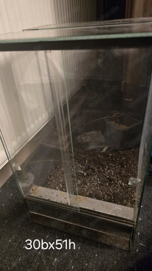 Terrarium Hochterrarium 