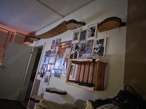 DRIIINGEND!!!Zwei Wundervolle und wunderschöne Katzen suchen ein Zuhause für immer  Bild 5