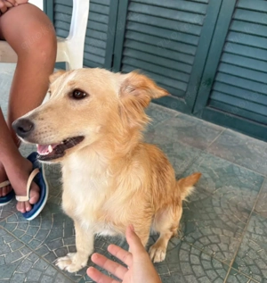 Elly verschenkt ihr Herz!