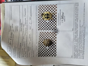 Griechische Landschildkröten (Testudo hermanni)