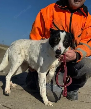 Anhängliche Delia - ein lieber Schatz