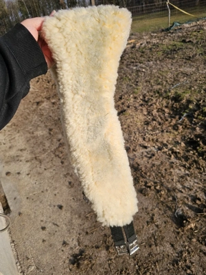 Freizeitsattel   Vielseitigkeitssattel Bild 6
